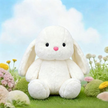 ����ɐ������Ȍ���ͨС���Ä��﹫�Ѓ�ͯë�q��ߌW���Y�ͯ��