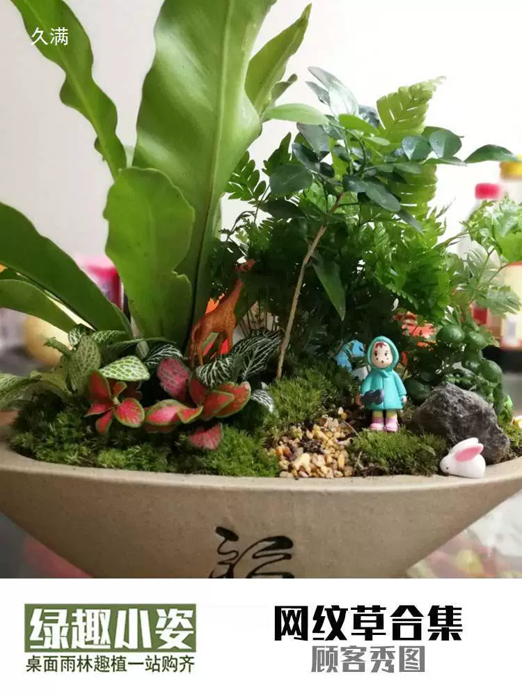 Сетка трава мох микро ландшафт, бутылка DIY ландшафт, вода и земля, дождевой лес, творческие цветные листья, мини-растения перед баком