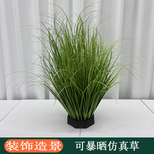 ���湷β�݆�ֻС�����ݺ���²��b�Ұ���쾰��β�Ͳݷ��滨���