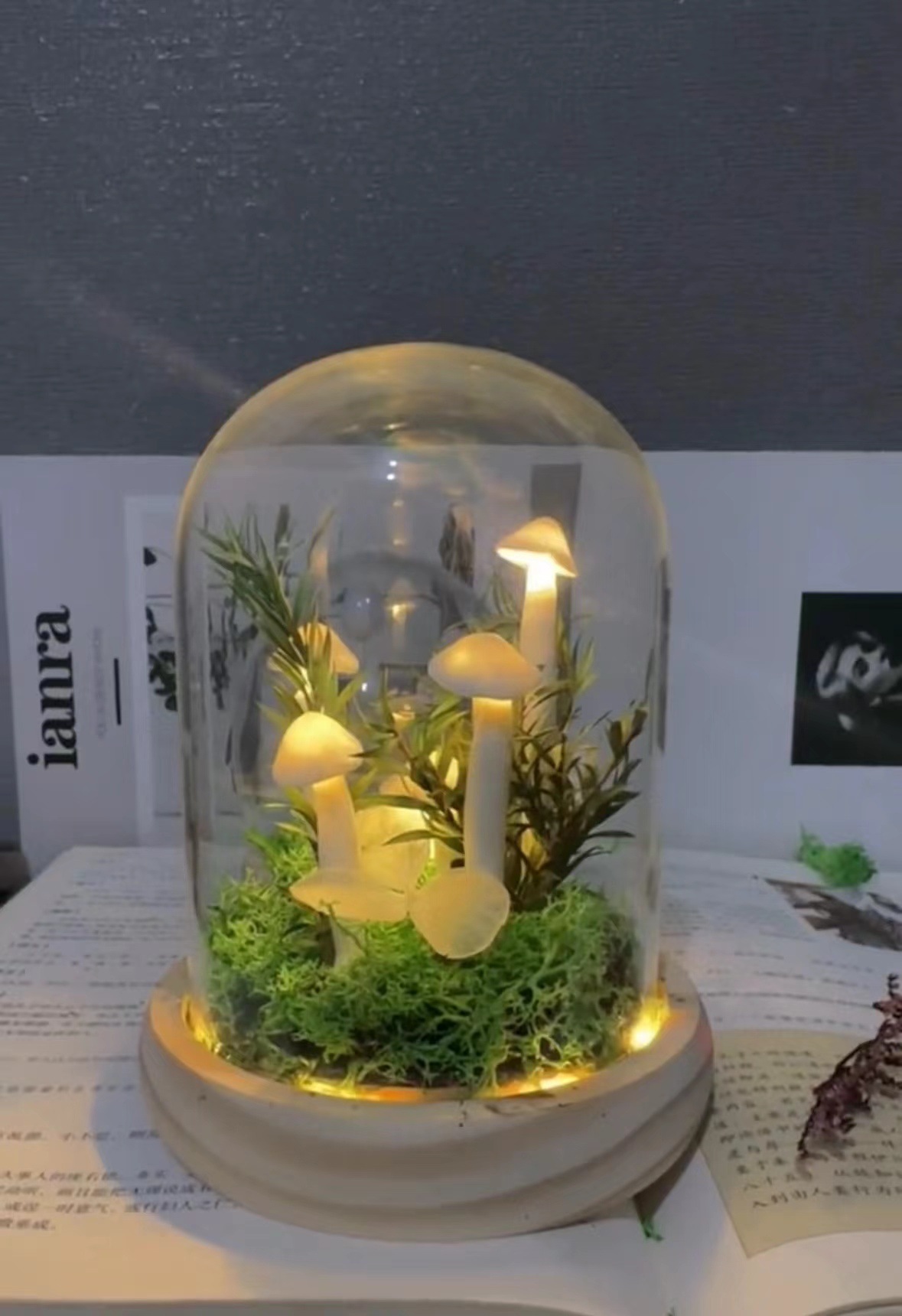 productos terminados transfronterizos hongos lámpara de noche diy material paquete para enviar a la novia regalo del día de San Valentín maestros amigos creativos hechos a mano