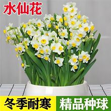 ����ˮ�ɻ��N���ͺ� �҃�ˮ�ඬ���Bֲ ˮ����������Gֲ���ܾGֲ