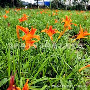 ����� ���̾G����������ݼt�\���ͥԺ��·�G���t����ݱ���