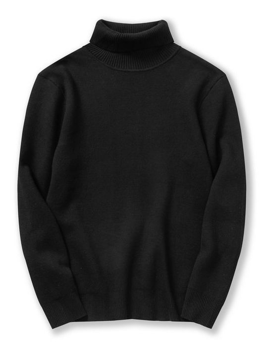 2025秋冬新作 ハイネックセーター メンズ 韓国風 ニットセーター インナー ベースレイヤー 裏起毛 厚手 長袖