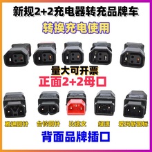 2+2充电器转充比德文爱玛绿源电动车铜芯转换头转接通用电瓶车