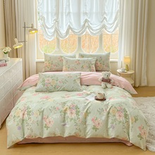 2025�¿�A�ȫ��С����ӡ��ϵ��-�ļ��� ȫ�����m��ˮϴ