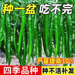 �߮a�����������L�ཷ�⽷���G�l�����߲������Ϸ������˷N������