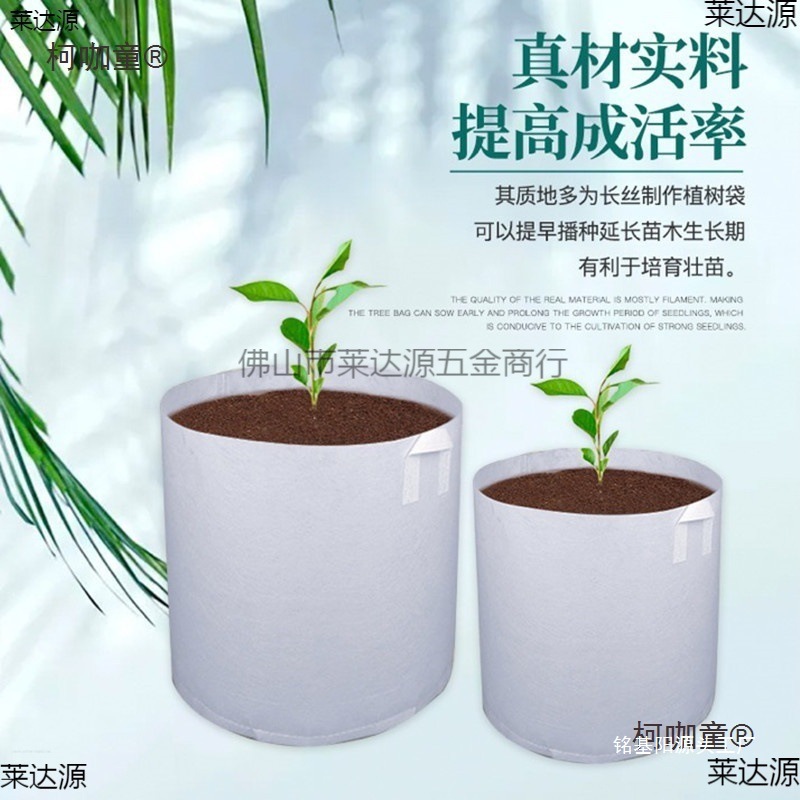 无纺布种植袋成活率透气楼顶花园扦插苗农用蔬菜果蔬果苗种麦太保