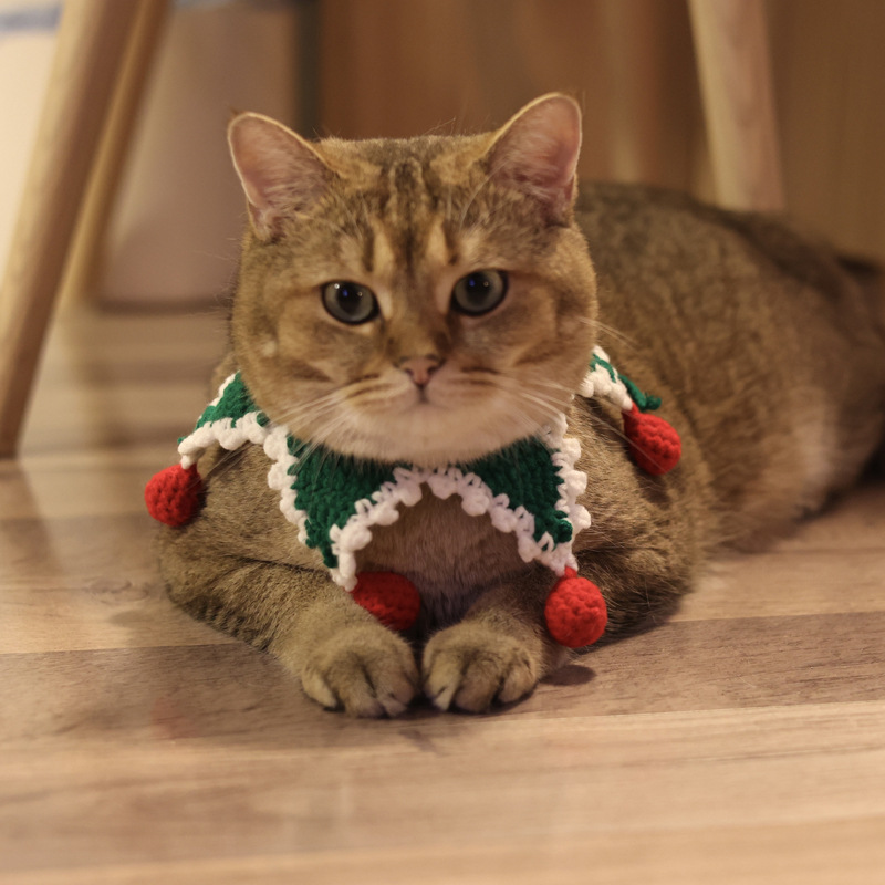 Christmas Pet Collar Variation 1