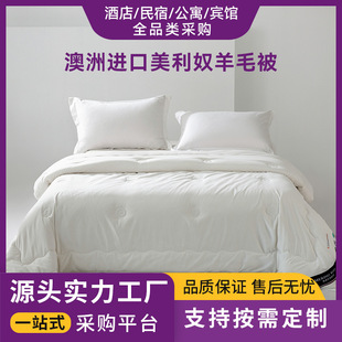 Light Luxury Australian Imported Merino Wool Quilt Spring and Autumn Quilt Winter Quilt Thickened Winter Quilt Warm