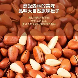 开口华山松子一件代发易剥野生特产坚果袋装批发干果零食炒货原味