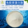 高纯度源头鱼胶胶原蛋白肽