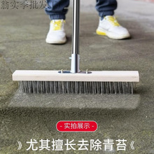 ˢ��ˢ���L��Ӳëˢ��ˮ�����̦ͥԺ�坍����ϴ�ز��P䓽z�ذ�ˢ