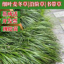 ���~���������A�ݰ������������ݵر���ƺ���@ֲ���޸��ļ�����