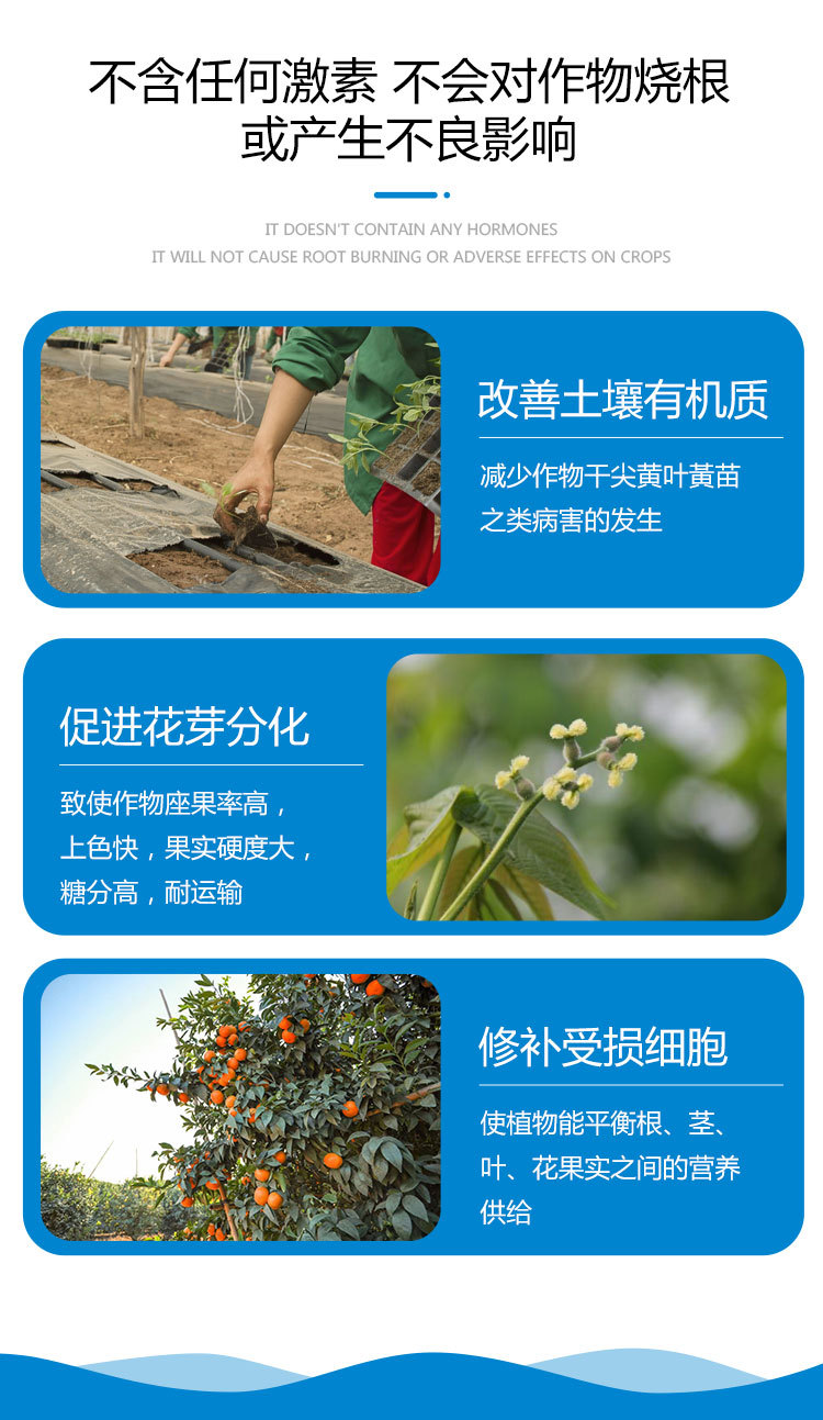 ����������ҳ_04