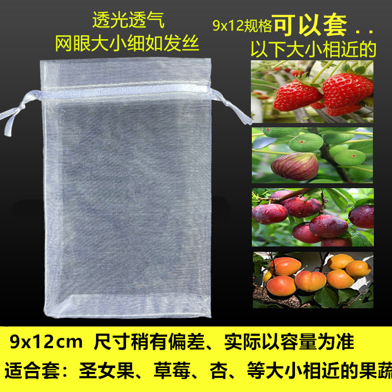 水果防鸟防虫网袋瓜果保护袋子无花果枇杷葡萄网袋桃子草莓保护套|undefined