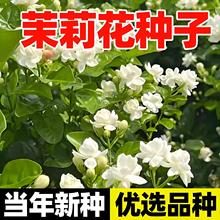 򻨷NӰļN_ͥԺ̨Իʵ׻N