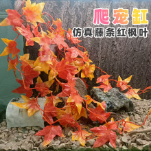 ��������B���������Ꭷ���ַ���ֲ�����x���B��ɳĮ�쾰�b�