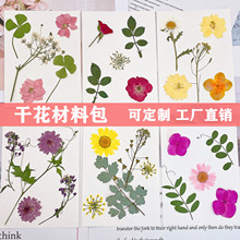 干花压花植物标本材料批发 手工滴胶手机壳押花相框书签5片组合装