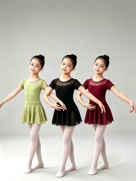 Children's Dance Clothing, Girls' Summer Short-Sleeved Practice Clothing, Chinese Dance Ballet Exam Performance Clothing, Class a Gauze Skirt