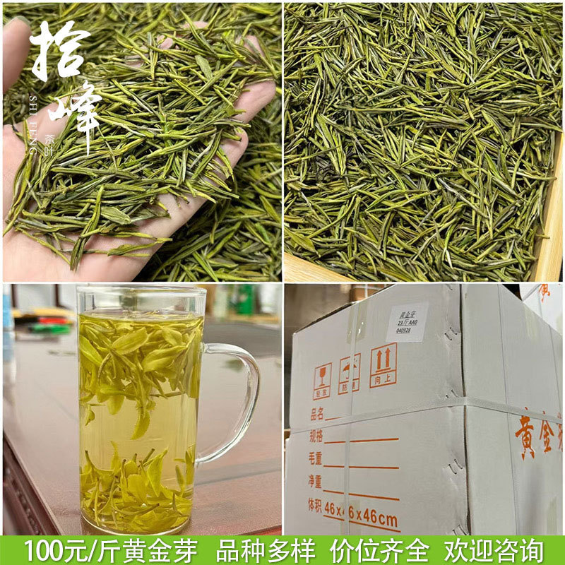 浙江2025年新茶明前茶春茶緑茶安吉工芸濃香型黄金芽茶葉卸売りバラ|undefined