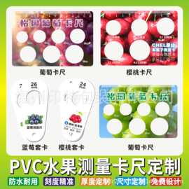 pvc水果测量尺子定制樱桃车厘子蓝莓葡萄大小卡片尺塑料尺子定做