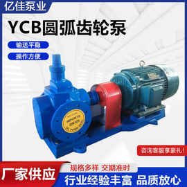 齿轮泵YCB圆弧齿轮泵油泵不锈钢齿轮泵圆弧齿轮泵抽油泵现货