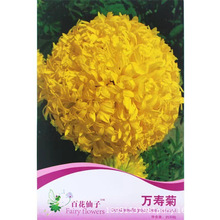 lʰNļN̨҃ԻܷNӼͥNJ޹²ݵؔ