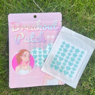 �������Ƕ����N�F؛�N�����Nˮ�z�w�N���l�羳���N