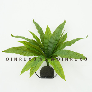 15�^�B��ާ�����ֲ������Fާ�~ֲ���ľGֲ�ָ��^�zާGֲ