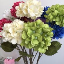 ��c����2�^���� ��Y����·���廨��Y�õ�피ٻ����߼Ҿ��b��