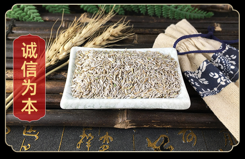 White Lettuce Seed Bai Ju Sheng 白巨胜 Dried Culinary Herb Seeds Cleaned Raw Botanical in use