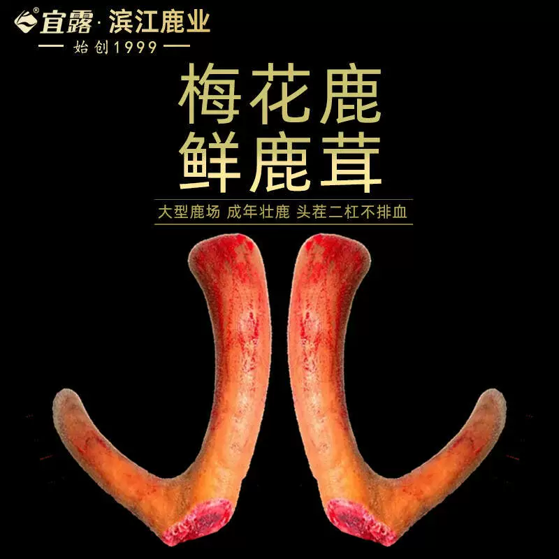 Настоящие цельные срезы из красного бараньего оленьего рога из провинции Цзилинь, подходящие для замачивания в спирте, свежие срезы оленьего рога для лекарственных целей.