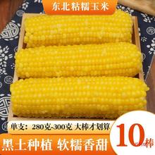 �|�����r�SŴ���������ճ���װ�����ʹּZ�����r���s�Z���]