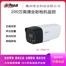 大華dahua監控攝像頭200萬網絡高清全彩槍機防水攝像機P20A2-PV