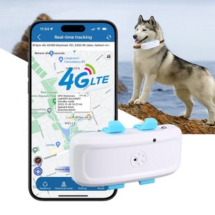 Cross-border Pet Cat Dog GPS Locator 4G TK911 pro Waterproof Sound and Light Pet Seeking Long Standby Free Platform