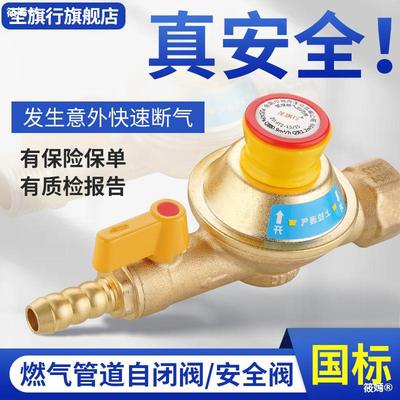 Gas pipe Autism automatic Breathe Gas stoves heater Leak protect Gas valve household