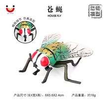 仿真昆虫实心动物模型苍蝇金蝇丝光绿蝇丽蝇儿童启蒙认知模型摆件