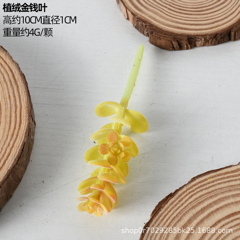 金钱叶（植绒）