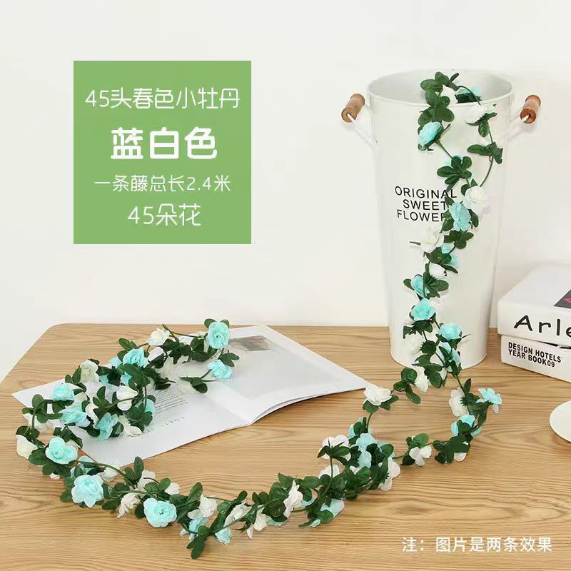 흰색 파란색