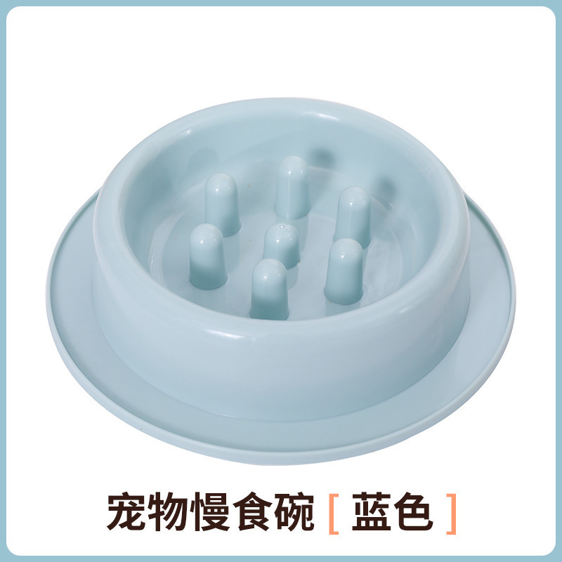 슬로우 푸드 그릇--블루