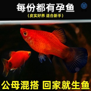 ��Ʒ�t����С���~���w�^�p�~�����~С�~̥���~�Ꭷ�~�~����B�ͻ�