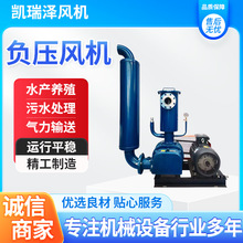 负压真空泵罗茨风机真空设备精密大吸力低噪音真空泵负压风机