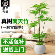 ������������Կ͏d���;Gֲ���ͻ����Ϙ��k���҃ȿ͏d���B��ؾ�