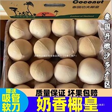 泰国进口小奶椰皇丹嫩沙多香水椰煲鸡汤老椰子孕妇新鲜水果包邮