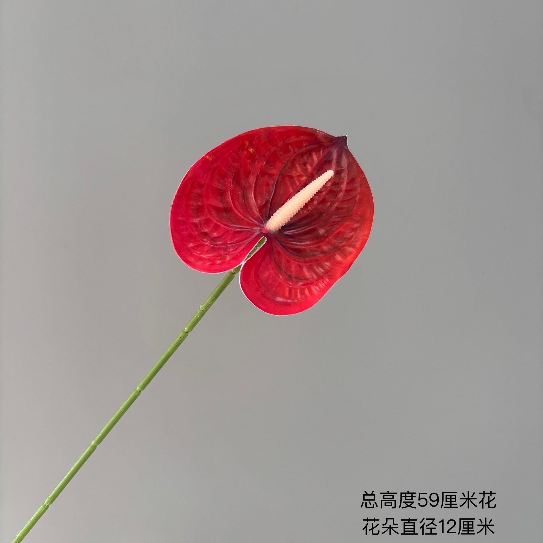 빨간색