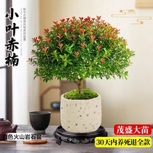 С�~����辰��z�ľ�k���҃�����Gֲ�����ļ����B�Ϙ����Դ��