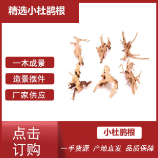 Small Sunken Wood Set Fish Tank Landscaping Decorative Ornaments Rhododendron Root Small Perch Tree Root Sunken Wood Rhododendron Root Wholesale