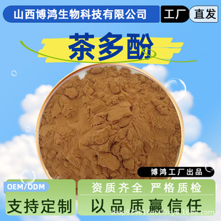 Source factory tea polyphenols 98% green tea extract food grade raw materials 84650-60-2 in stock 1KG