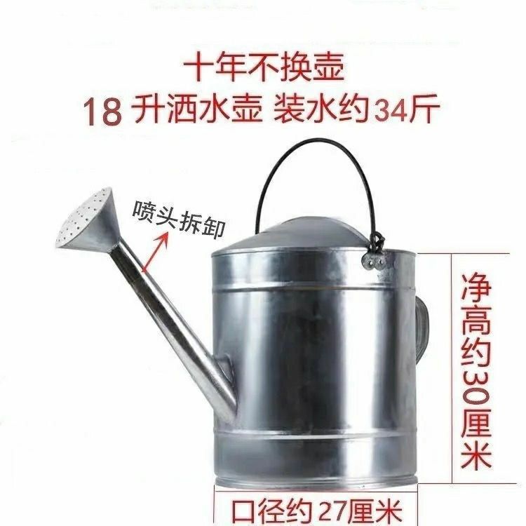 04b9a944-dbd5-45ec-8fa0-fc64c35a5b58.jpe