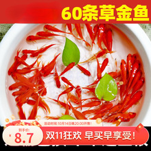 �^�p�~���~С�͵�ˮ�ͻ���ˮ���B���~�w���B�J������~�t�a�~��һ